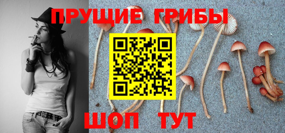 Киров  Псилоцибиновые грибы Psilocybine cubensis  Псилоцибиновые грибы ЛСД  Вход с VPN 